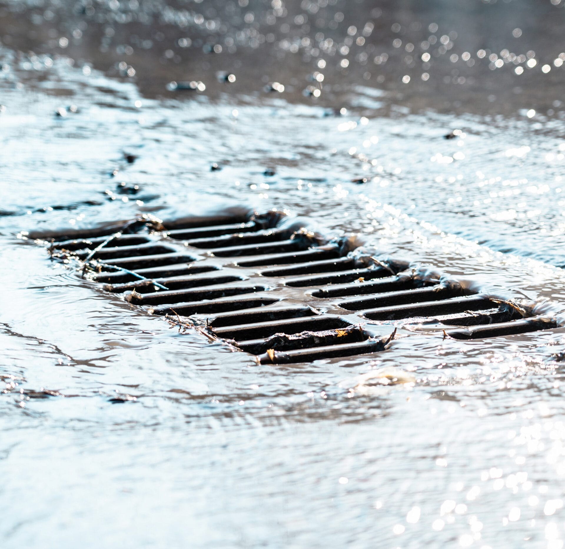 Can Storm Drains Get Clogged? - TX Hydrojet plumbing blog Dallas TX